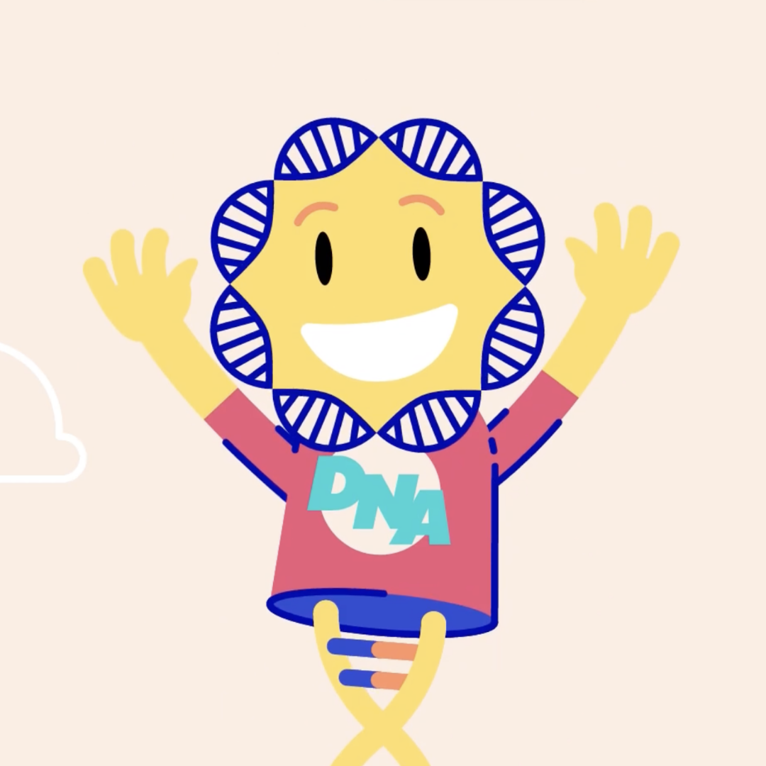 Animatie Play4Kids